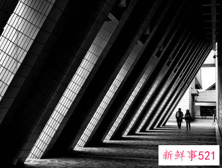 摄影构图方法有哪些