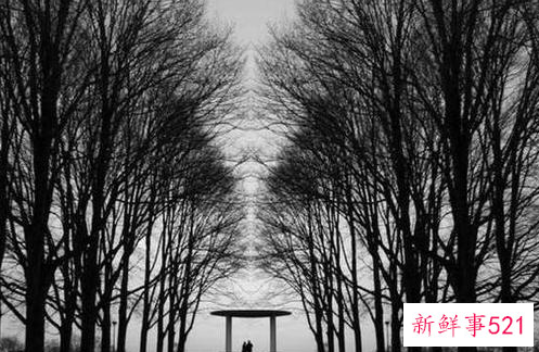 摄影构图方法有哪些