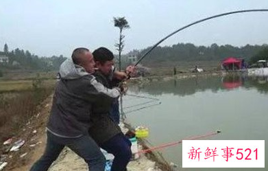 钓鱼的要领有哪些