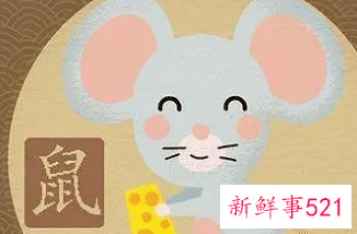 鼠人忌什么颜色