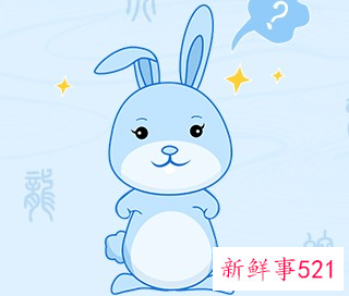 属兔的是什么性格