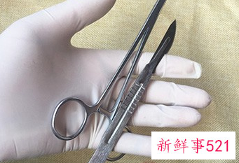 低血压的人吃什么水果好