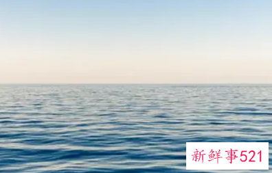 梦见自己在大海里逃生