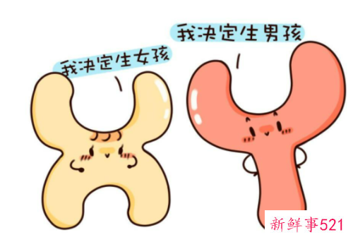 吃什么容易生女孩