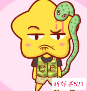 男蛇女猪的婚姻相配吗