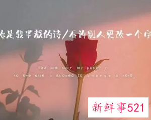 一句打动人心的情话