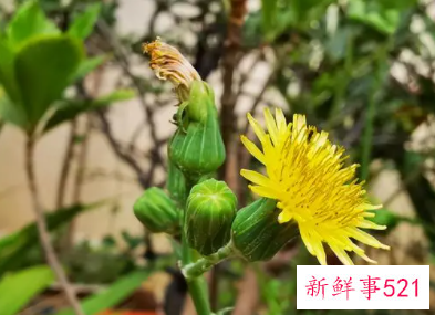 骨子里傲气的男人