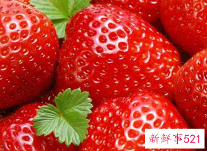 多吃什么水果才有营养