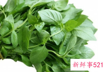 河南荆芥菜的功效