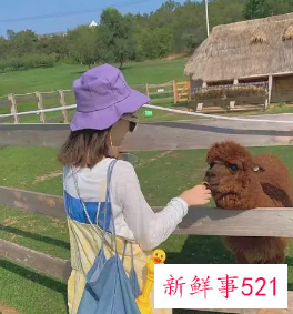 赞美美女漂亮的句子