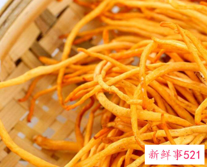 虫草花和什么相克和香菇