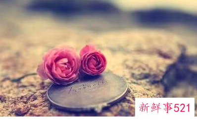 超长整句情话怎么写