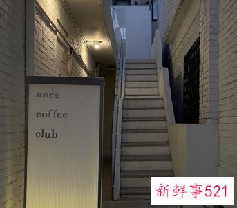 败给新鲜感的句子