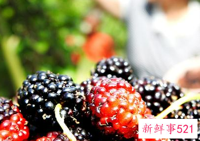 多吃什么水果才有营养