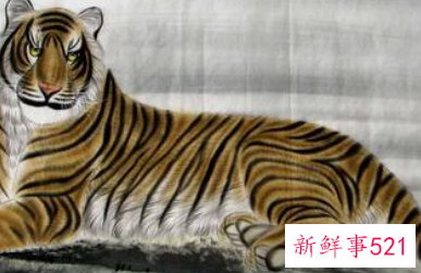 属虎和属猴的婚姻怎么样怎么破解