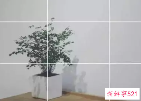 摄影构图方法有哪些