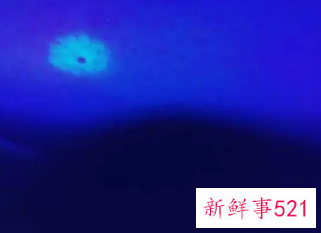 伍德氏灯颜色代表什么