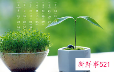 珍惜兄弟姐妹亲情语录