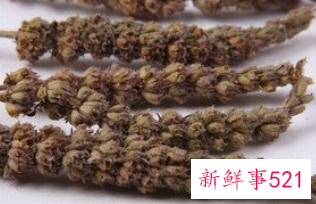 河南荆芥菜的功效
