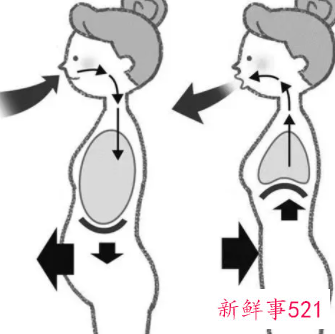 腹式呼吸肚子越练越大