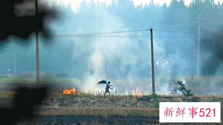 周公解梦之梦到商店冒烟