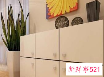 大门口放鞋架好不好