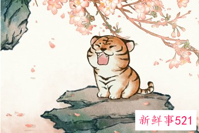 虎年是生男孩多还是女孩多