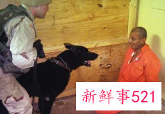 梦见虐待狂有什么征兆