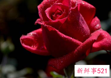 研究生求职需要注意的要点