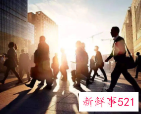 怎么看轮岗是不是一个坑