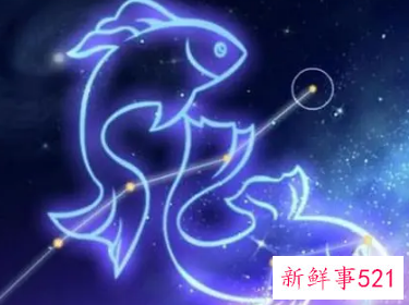 最受欢迎的星座排名