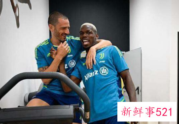 博格巴伤势严重或提前报销本赛季