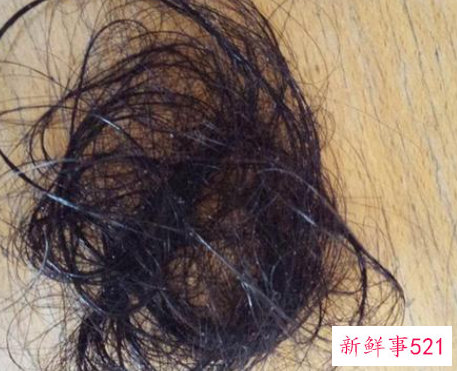 如何清理地板上的头发