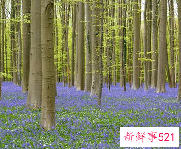 老公同意我出轨说只要我开心