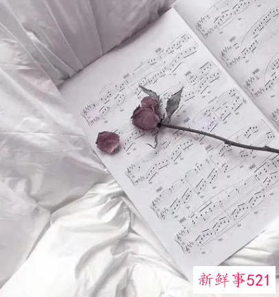 英文伤感情话短句带翻译