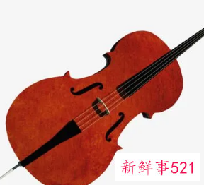 幼儿乐器启蒙学什么好