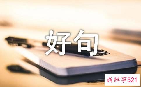 用在作文里的好句子
