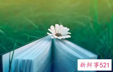 表示神情专注的四字词语