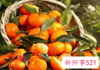 橘子的营养价值及功效与作用