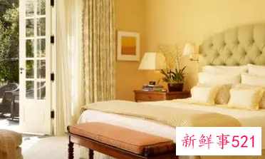 属狗的人床的最佳方位