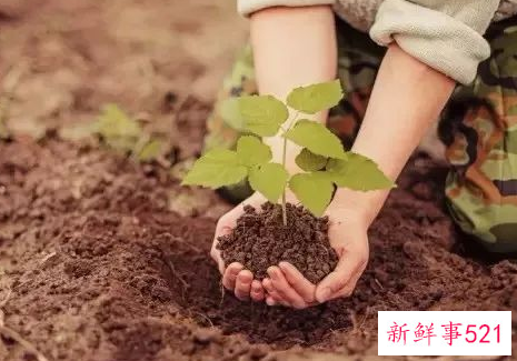 怎么样与学生进行良好的沟通