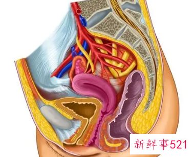 女人盆腔积液跟男人系吗