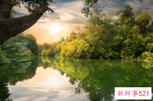 善良不是对谁都可以的