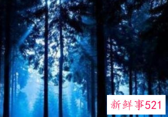 鬼打墙是鬼在帮你