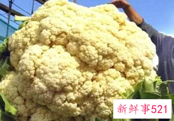 世界上最贵的蔬菜