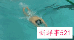 蝶泳慢动作分解