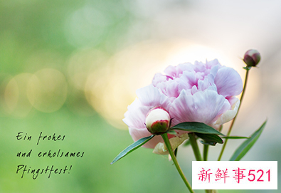 天蝎座年底财运如何