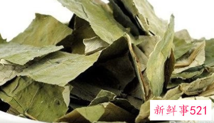 荷花茶的制作方式