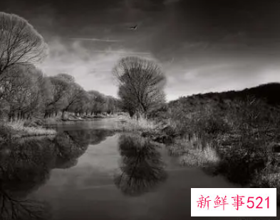 梦见掉进粪池有什么征兆