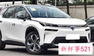 纯电动车排名前十名